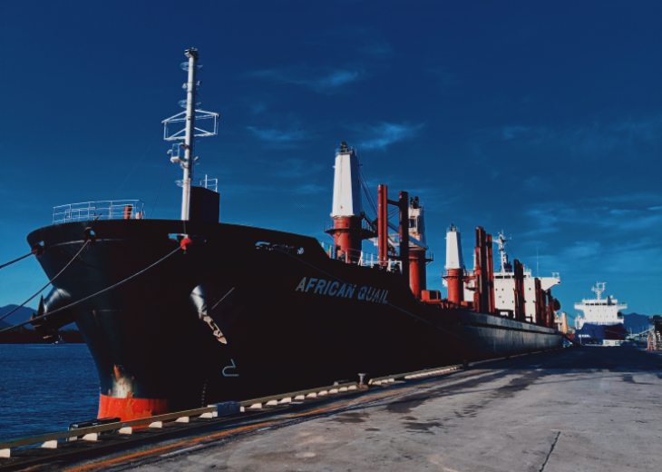 Bulk Carrier:- 60 Ships