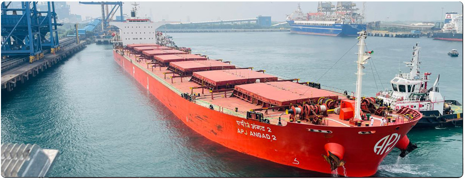 Bulk Carrier