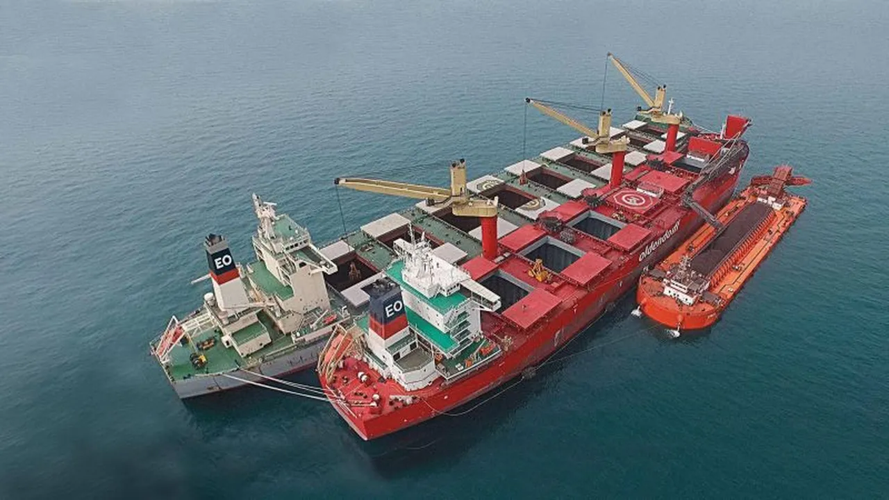 Transshipment:- 22 in which 19 owns